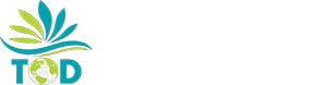 Same Day Delhi Tour | Tours On Demands